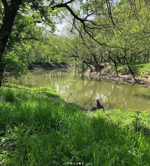 Along the river