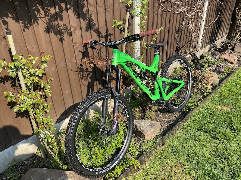 intense tracer t275c