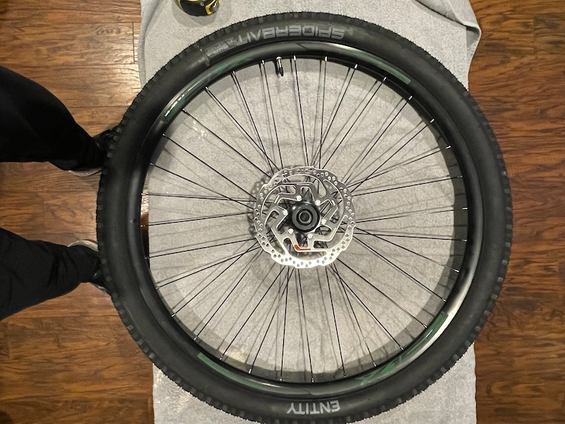 entity spiderbait tires
