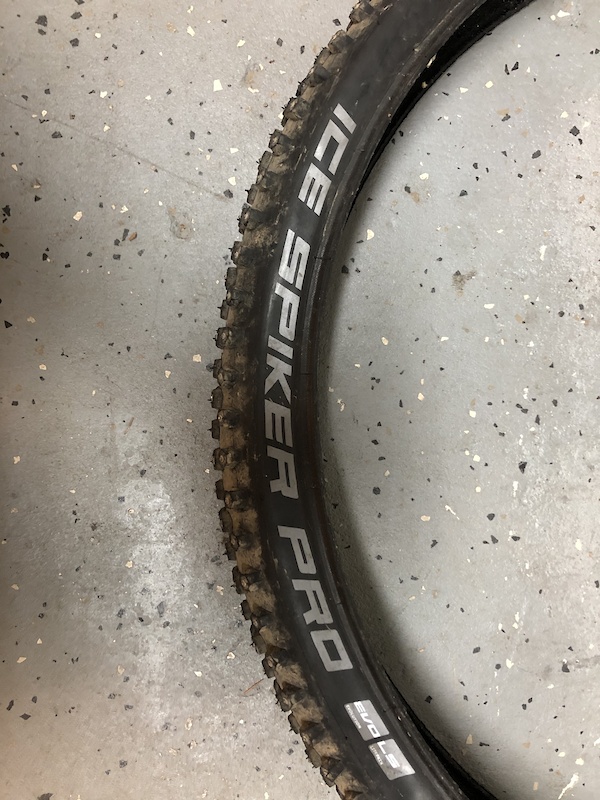 schwalbe ice spiker 29
