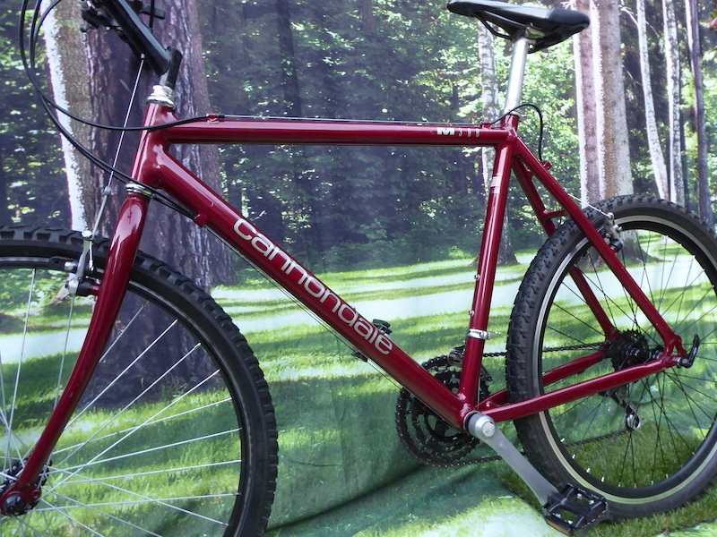 Cannondale M300 Retro XL Extra Large 22