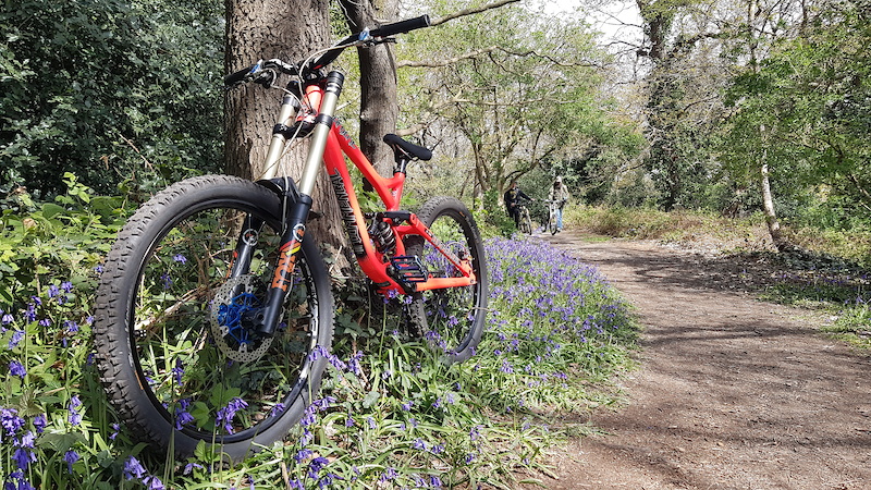 Bit of dh at local trails