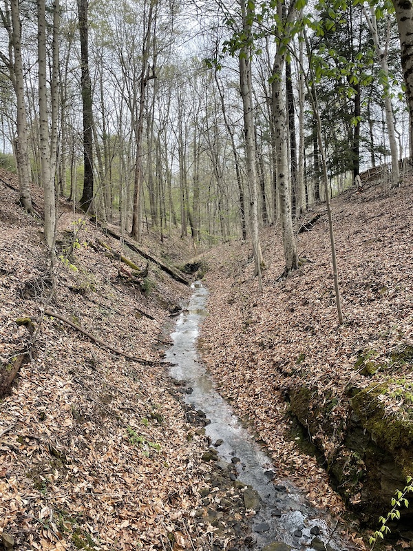 North Bend State Park Mountain Biking Trails Trailforks