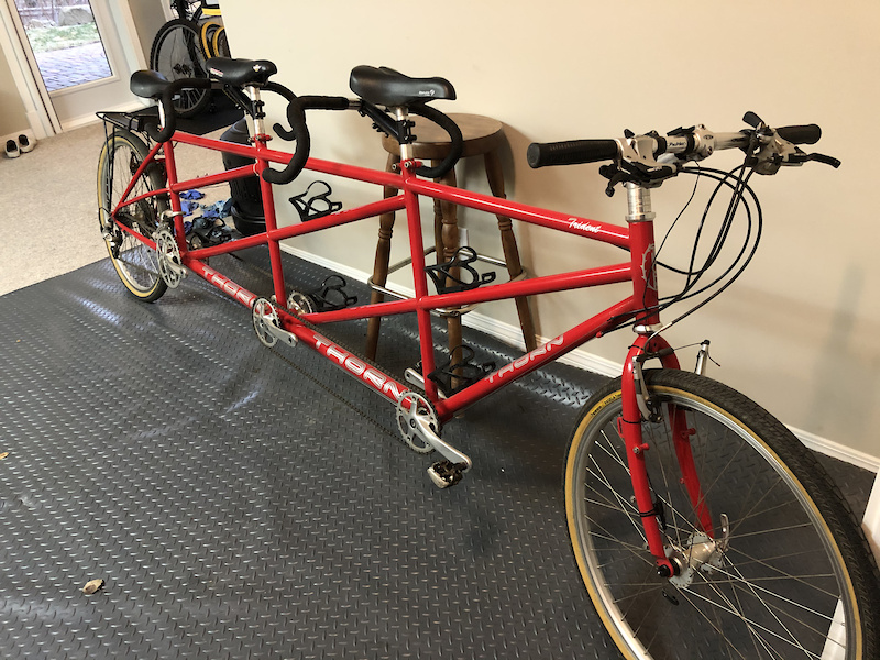 Thorn tandem on sale for sale