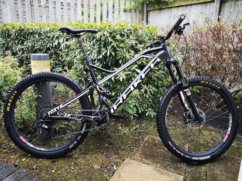 foxy xr