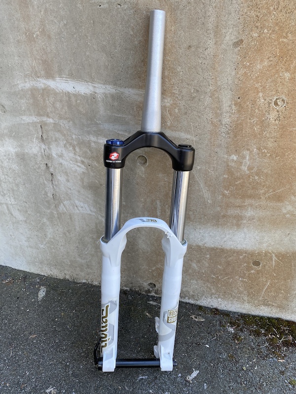 rockshox domain 318