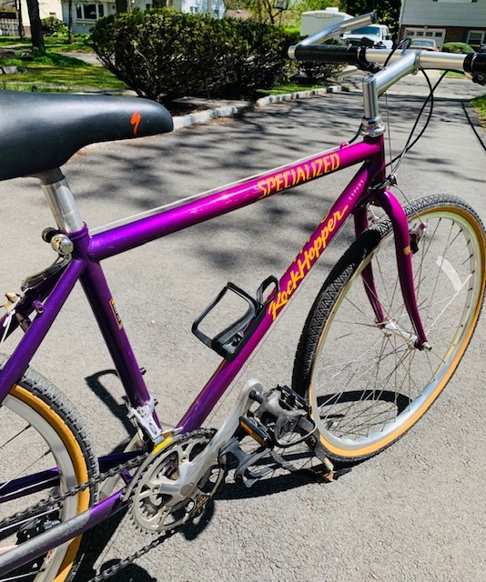 Specialized best sale rockhopper purple