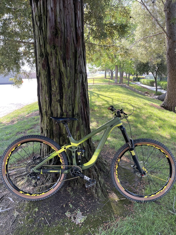 2015 giant reign advanced 1