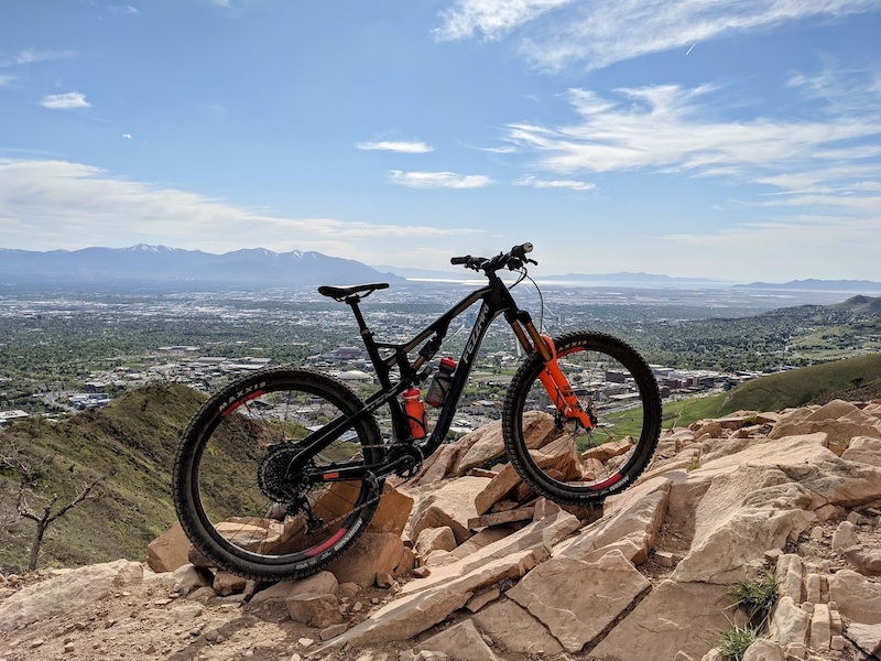 the living room trailhead trails