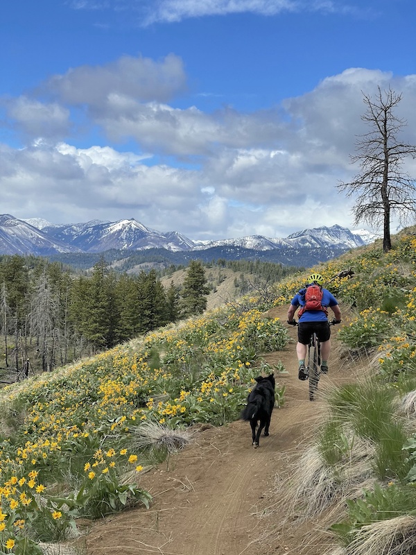 Coal Creek Multi Trail Winthrop, Washington