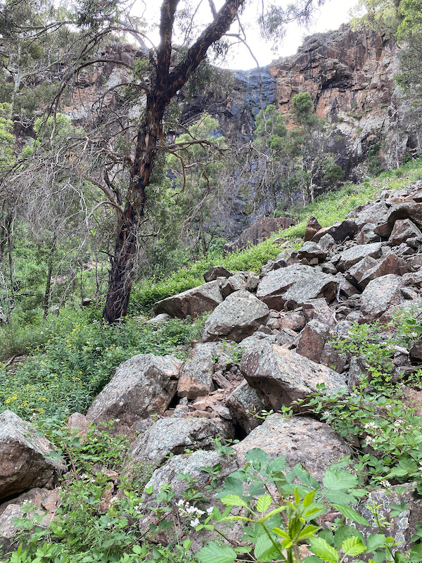 Glenwood Forest Trails, Orange Mountain Biking Trails Trailforks