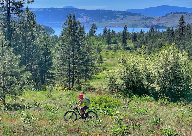 Kal Park Around the Mountain Family Circuit Trailforks