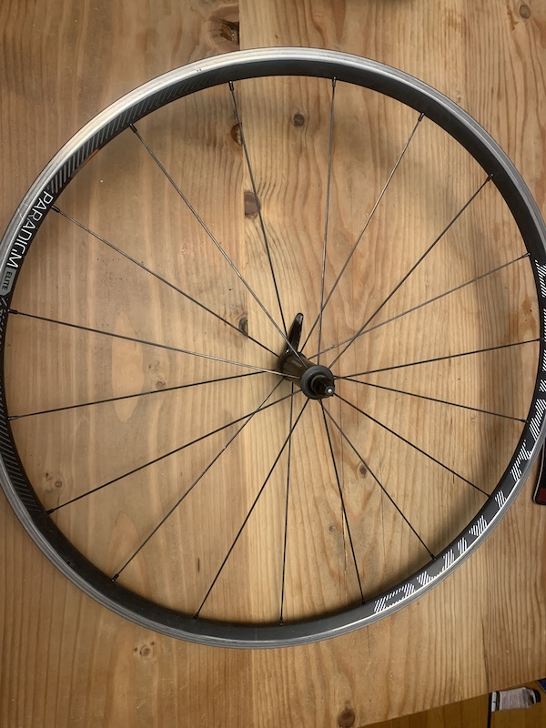 bontrager paradigm elite wheels