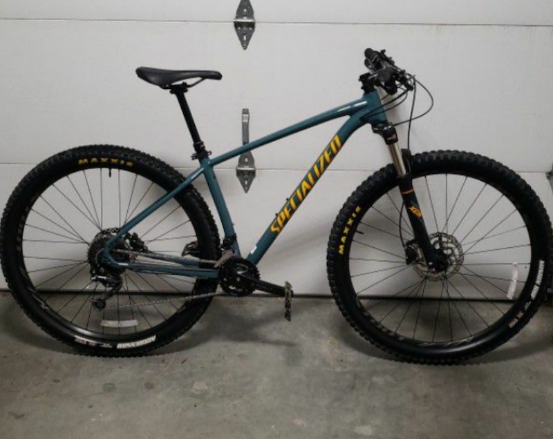 specialized rockhopper expert 2019 review