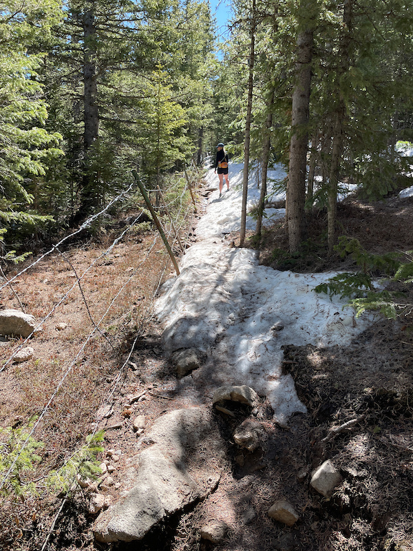 Raven Ridge Trail May 16, 2021 Raven's Ridge Trail Report | Trailforks
