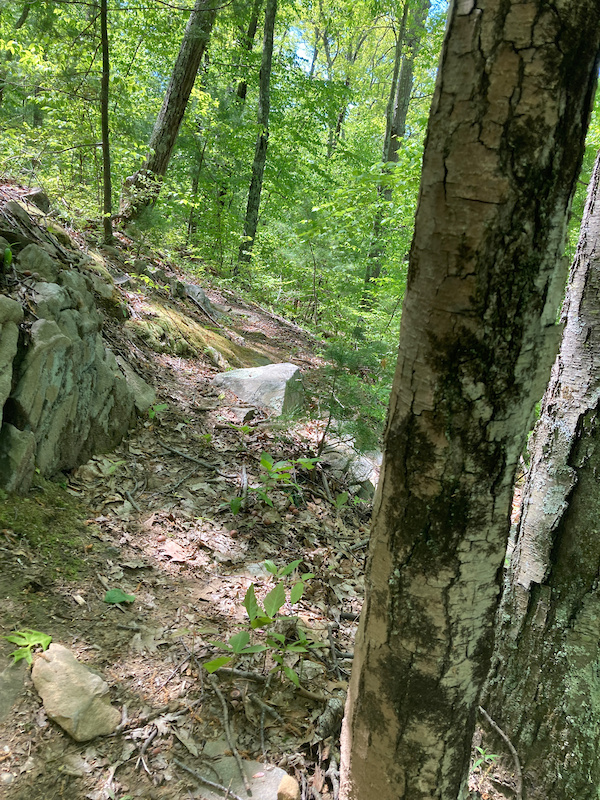 Cormier Woods, Uxbridge Mountain Biking Trails Trailforks