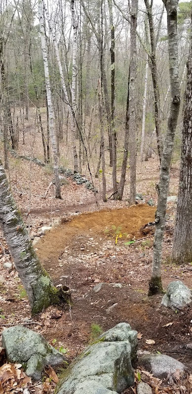 Connor loop Mountain Biking Route | Trailforks