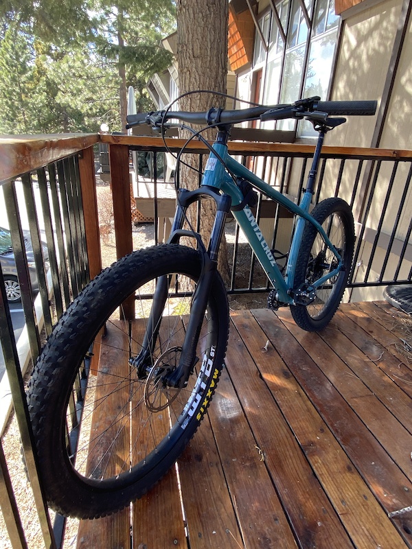 santa cruz chameleon d 