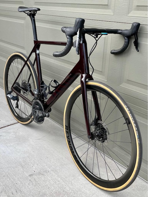 Canyon endurace best sale red tinted