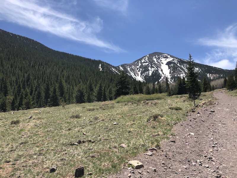 Inner Basin Trail Hiking Trail Flagstaff Arizona 3745