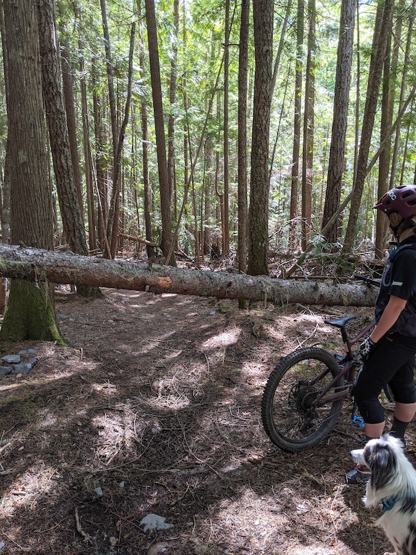 nakusp mountain biking
