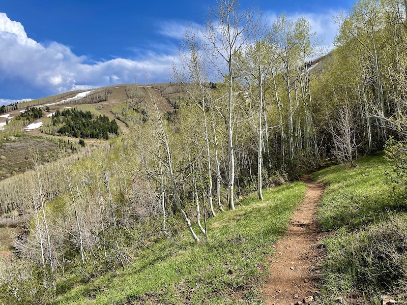 CMG Multi Trail - Park City, Utah | Trailforks