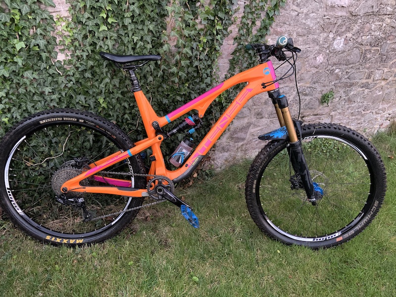 intense recluse carbon