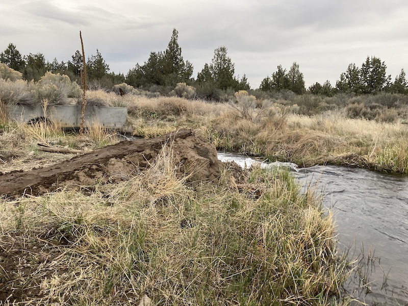 Larkspur, Bend Mountain Biking Trails Trailforks