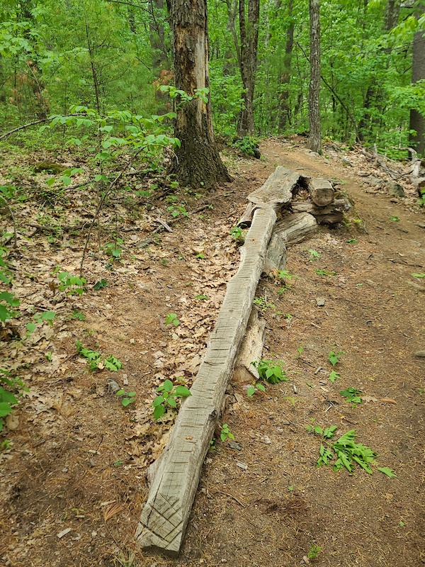 Home Run Mountain Biking Trail Windham, New Hampshire