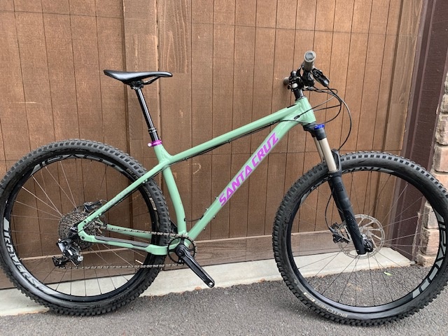 santa cruz chameleon large for sale