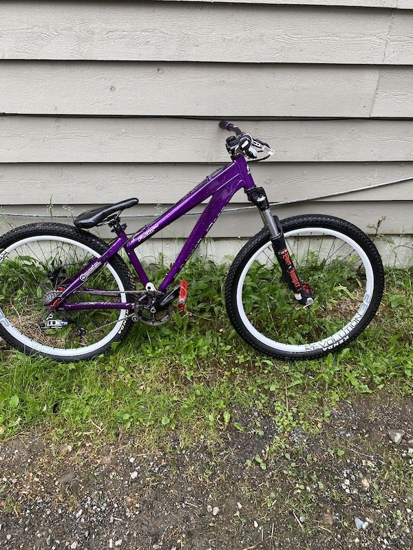 Rocky Mountain Flow DJ For Sale