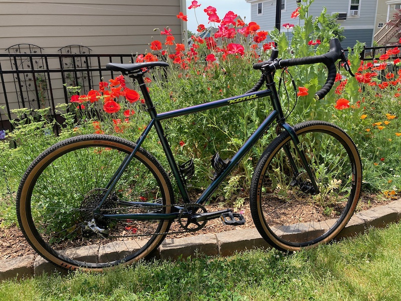 kona sutra ltd 2019