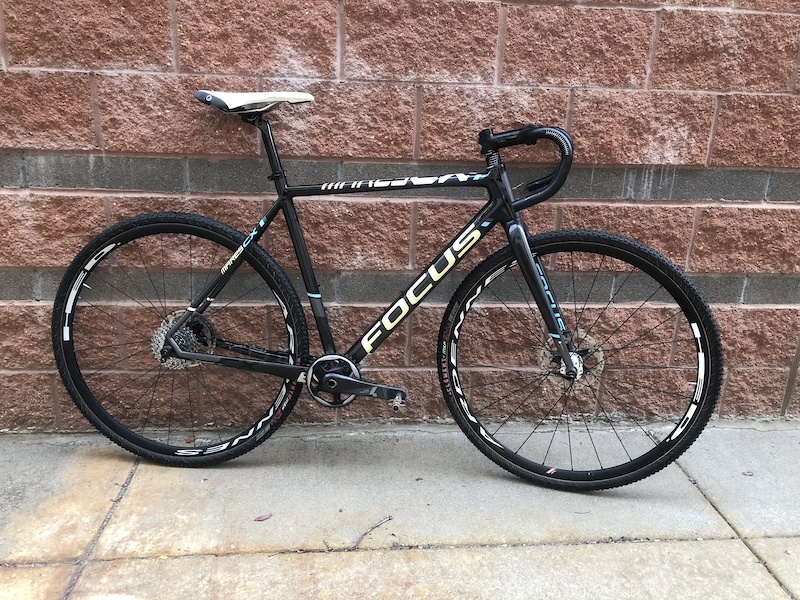 focus mares frameset