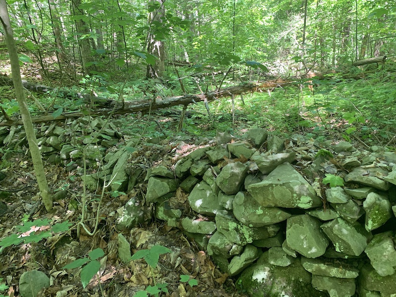 Red Trail Mountain Biking Trail Rhinebeck, New York
