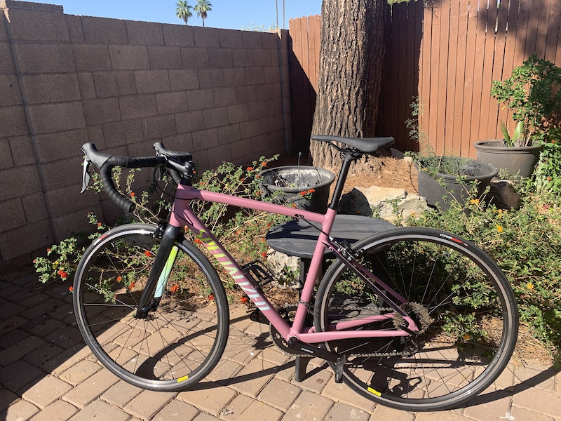 specialized allez lilac