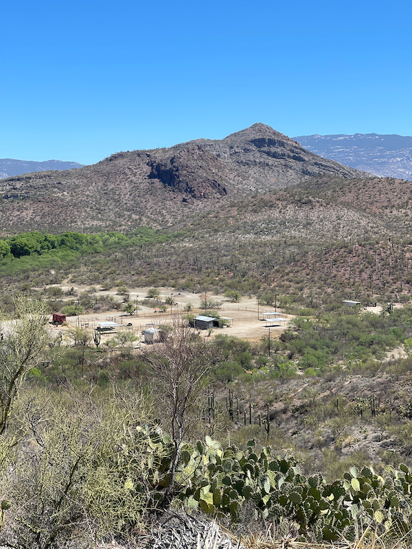 Rincon Valley Mountain Biking Trails Trailforks