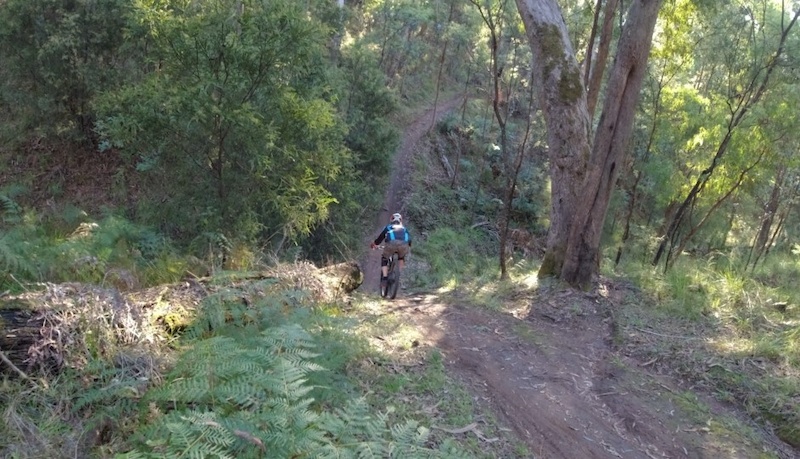 Westerfolds park best sale mountain bike trails