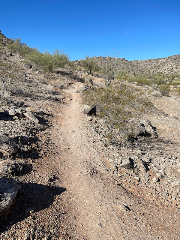 Joeys Jaunt Mountain Biking Trail Goodyear, Arizona