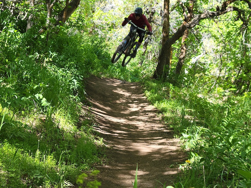 Snowbasin SardineMiddle ForkGreen PondNeedles Loop Trailforks