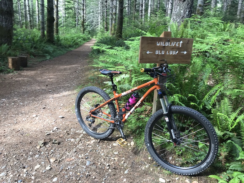 Silverdale bike discount