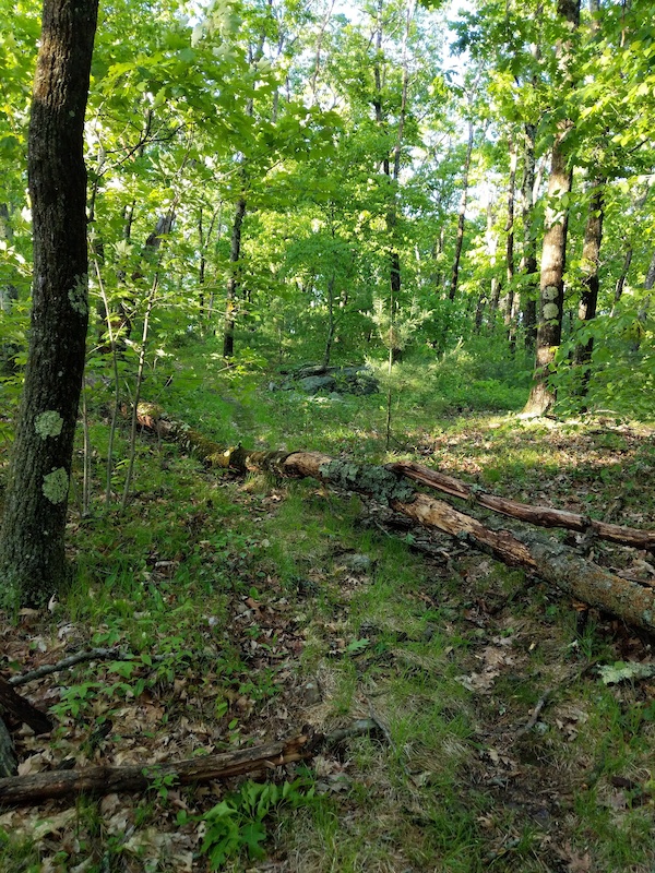 Barre Falls Dam, Barre Mountain Biking Trails | Trailforks