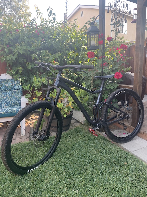 2020 giant stance 29 1 review
