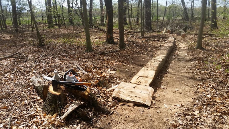 Watrous Park, Cromwell Mountain Biking Trails | Trailforks