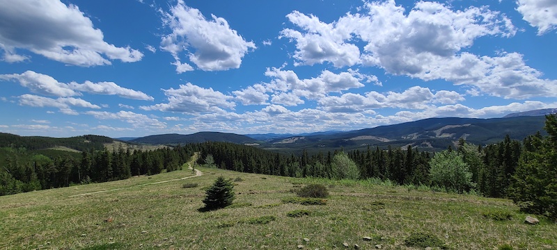 Braggin Kestrel Merlin Loop Mountain Biking Route | Trailforks