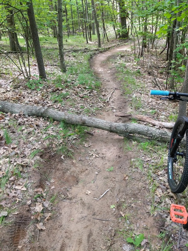 Brown County Reforestation Camp