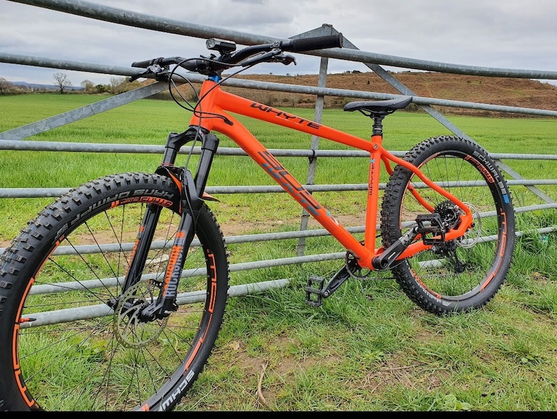 2019 whyte 905