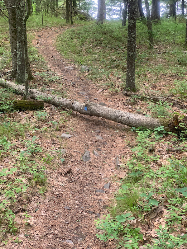 Lost Bear Mountain Biking Trail Port Jervis, New York