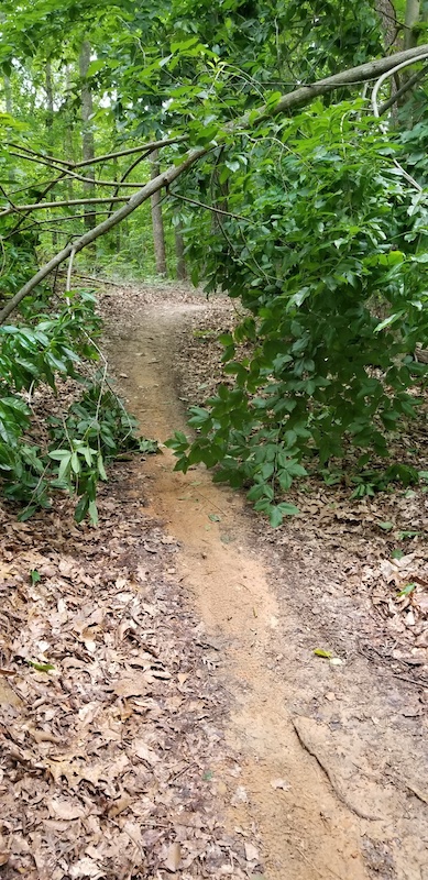 over ridge cycle price