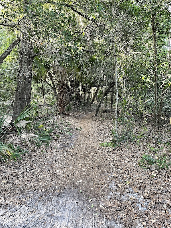 Mount Dora MTB Trail, Mount Dora Mountain Biking Trails Trailforks