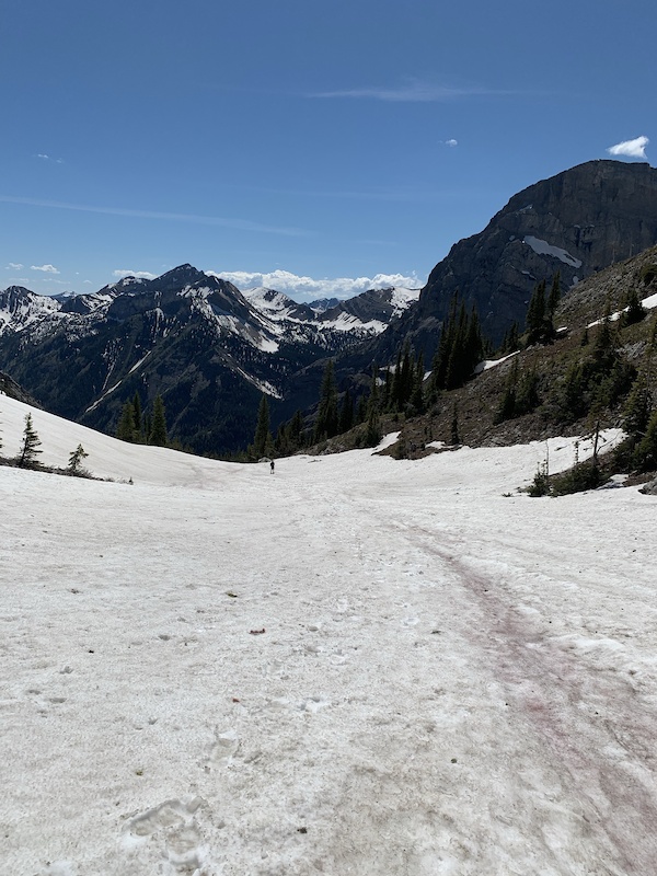 Jun 15, 2021 Mount Proctor (HIKING ONLY) Trail Report Trailforks